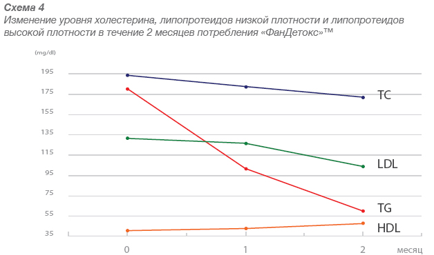 Прием ФанДетокса для изменения уровня холестерина